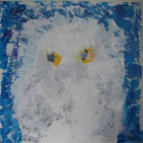 Snowy Owl