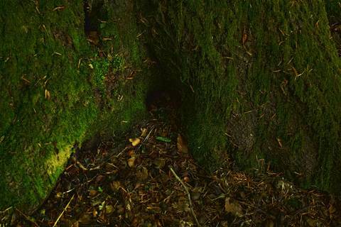 The Cave (part 1)