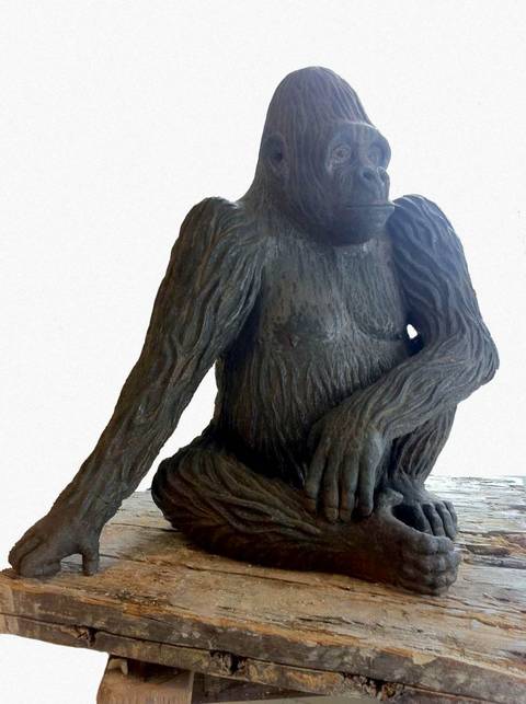 Gorilla