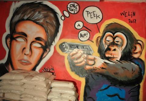 Monkey vs. human