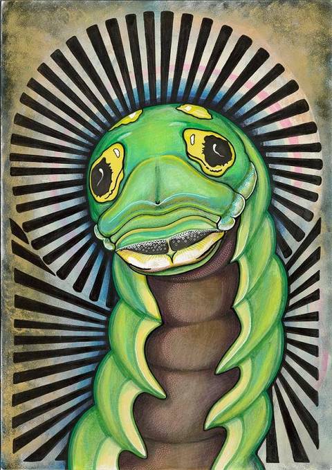 Just a caterpillar