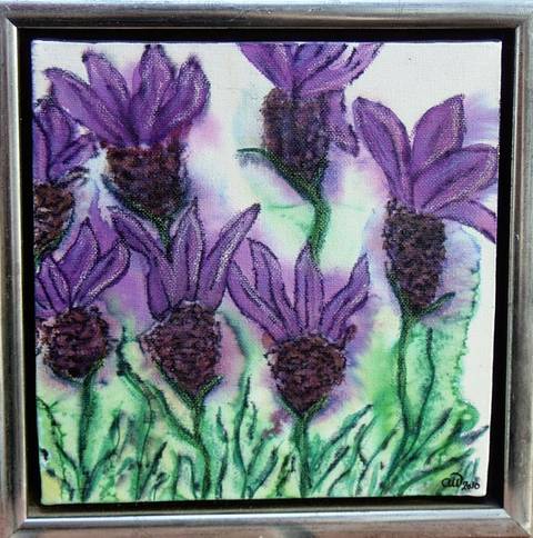 Sommerfuglelavendler 2