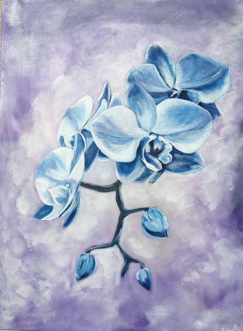 blå orchide (3)
