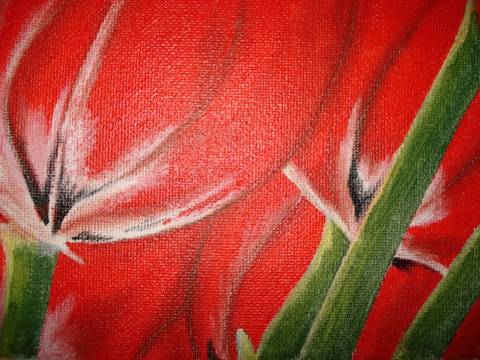 spring