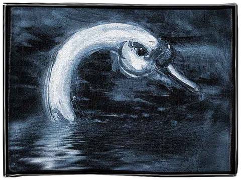 A swan