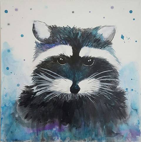 Racoon