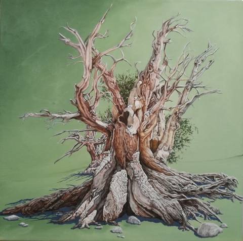 Boerstekoglefyr. fra White Mountains – maleri af haakanssonkunst.dk