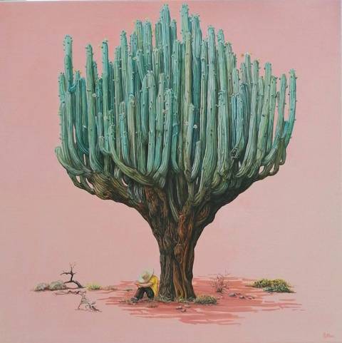 Siesta, Kaktus fra Mexico.