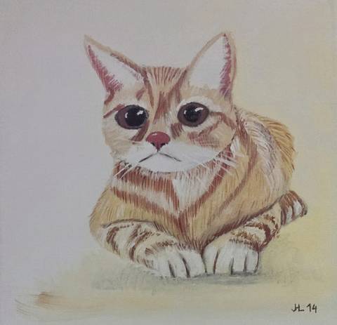 Kat 04