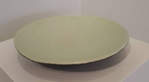 light green dish