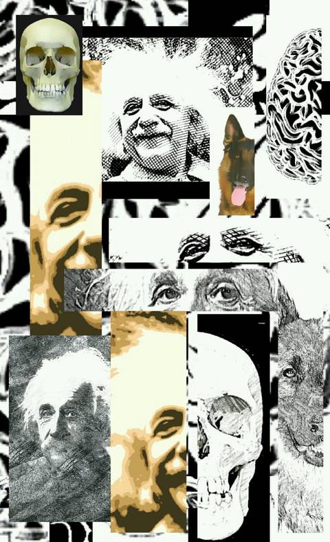 AE