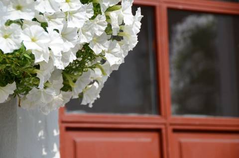 'hvide blomster - brun dør'...