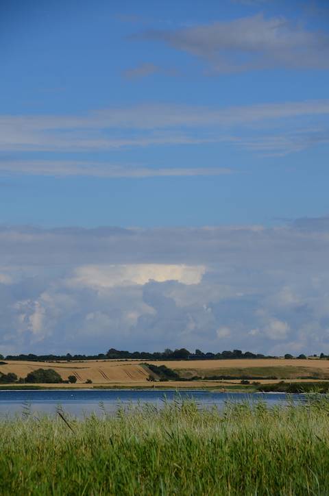 'Glimpses of Summer'...