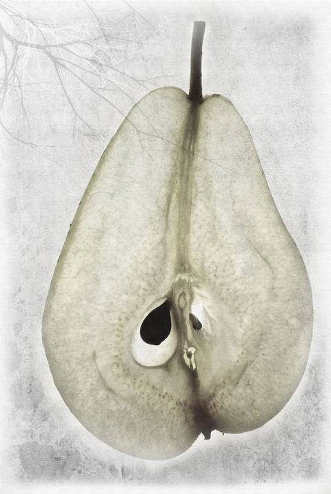 Vintage fruit - Pear