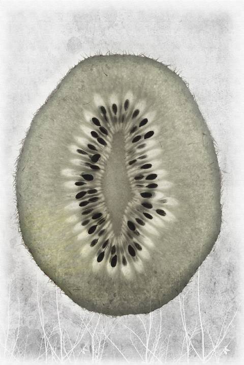 Vintage fruit- Kiwi