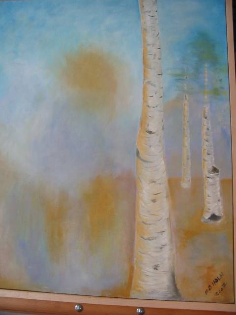 Finland 2008