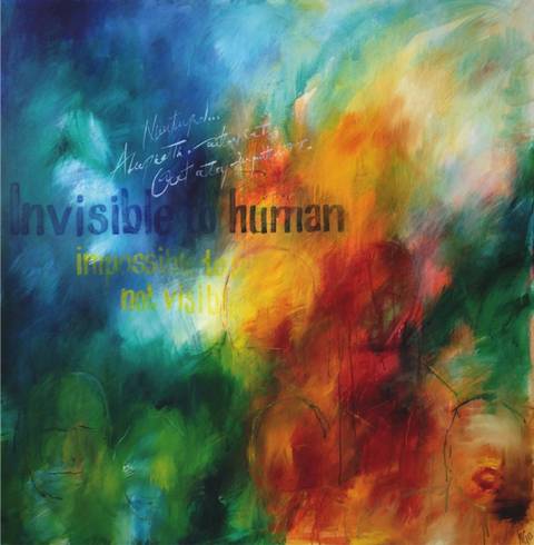Invisible to human