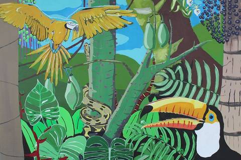 A diversidade viva da Amazônia