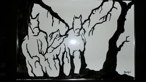 Wild horses