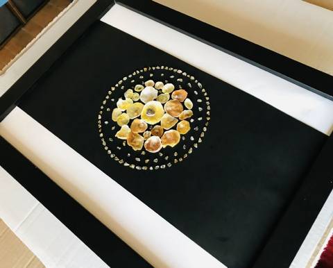 SEA SHELL ART