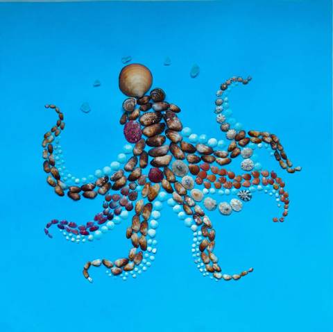 Octopus - seashell art