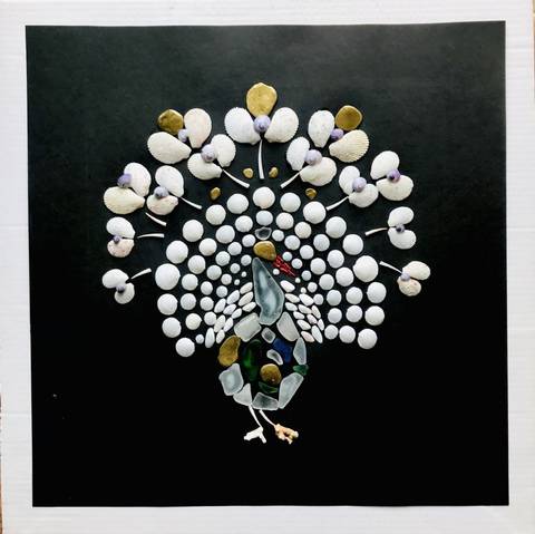 Collager  Seashellart  "Peacock"