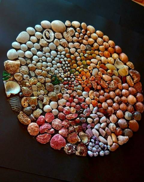 circle of sea shells