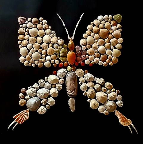 BUTTERFLY Seashell art