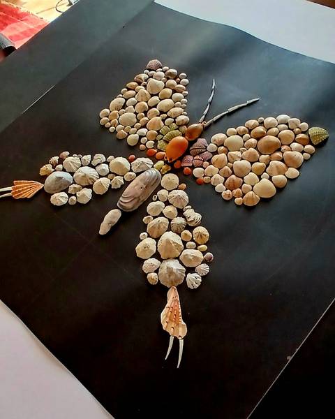 BUTTERFLY Seashell art