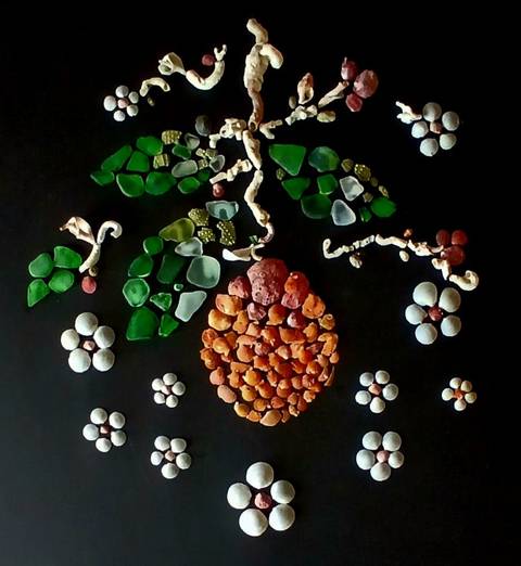 Seashell art  branch with orange
