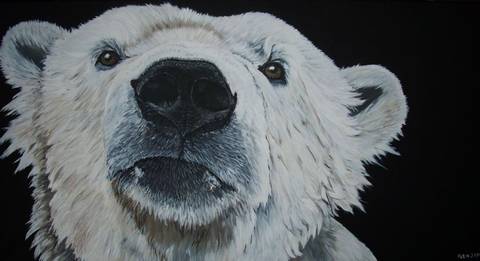 polar bear