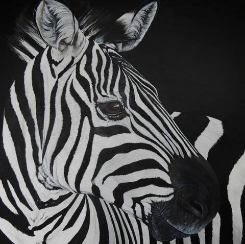 zebra